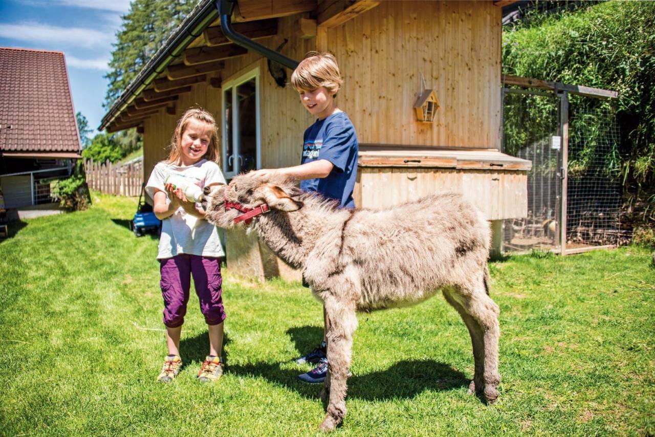 Stabinger Hof * Sexten